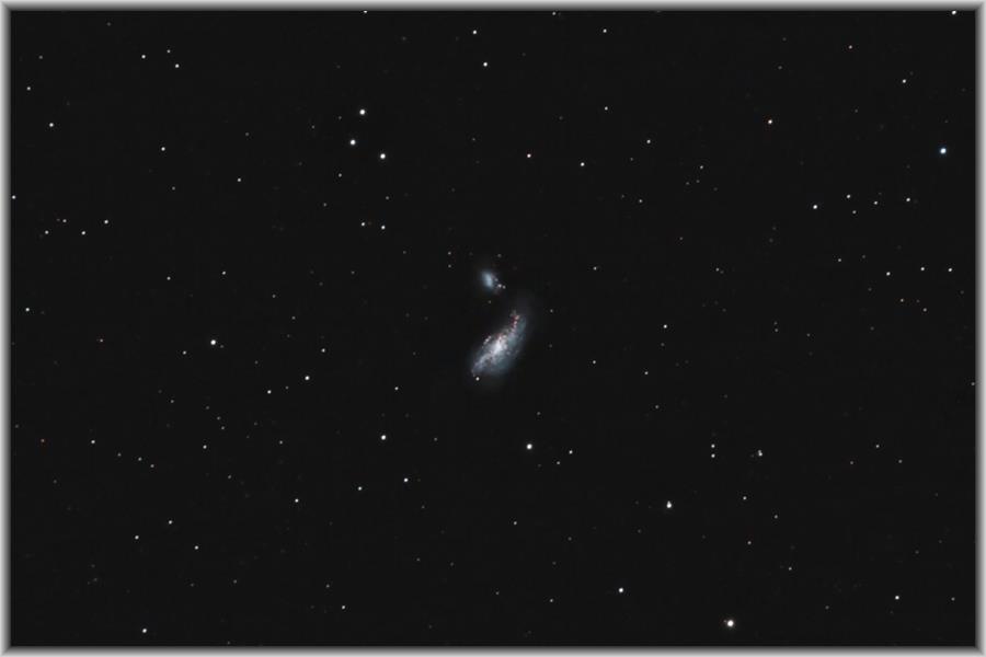 NGC4490_2010-03-09