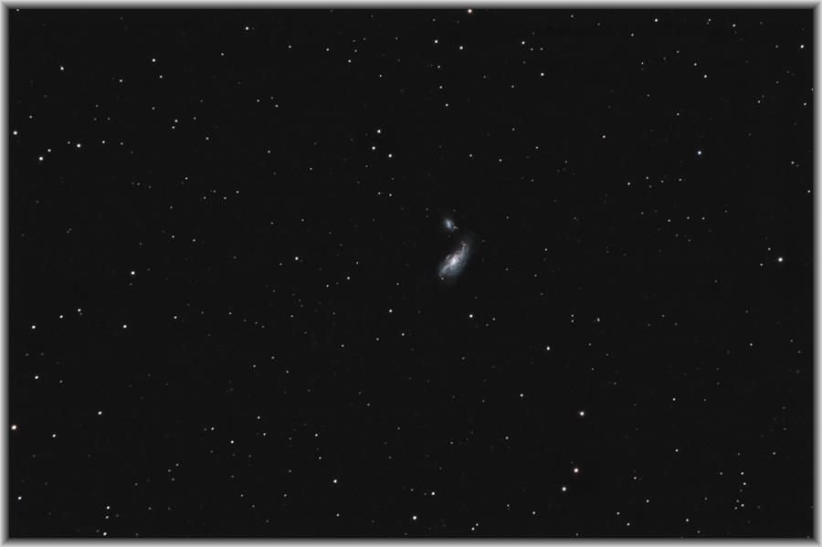 NGC4490_2010-03-09