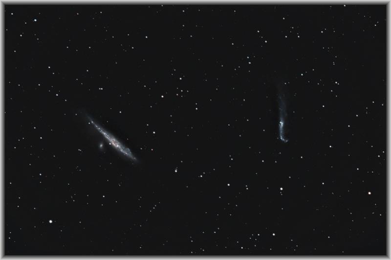 NGC4631-NGC4656_2008-05-10