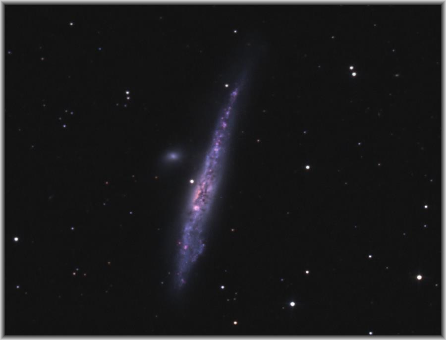 NGC4631_2011-04-09b